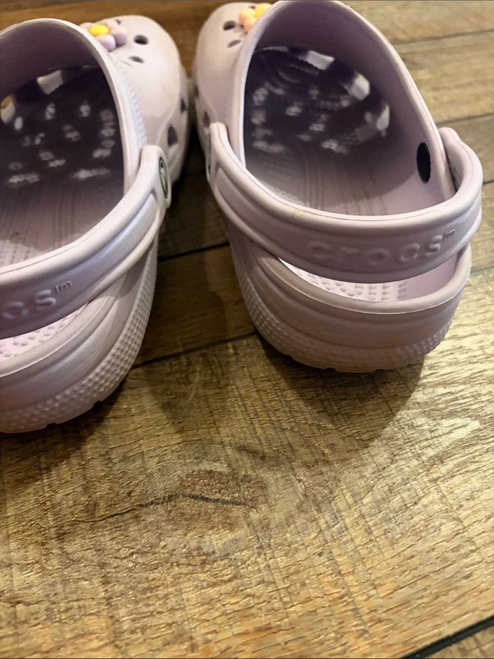 CROCS Kids Lilac Floral Charm Clogs